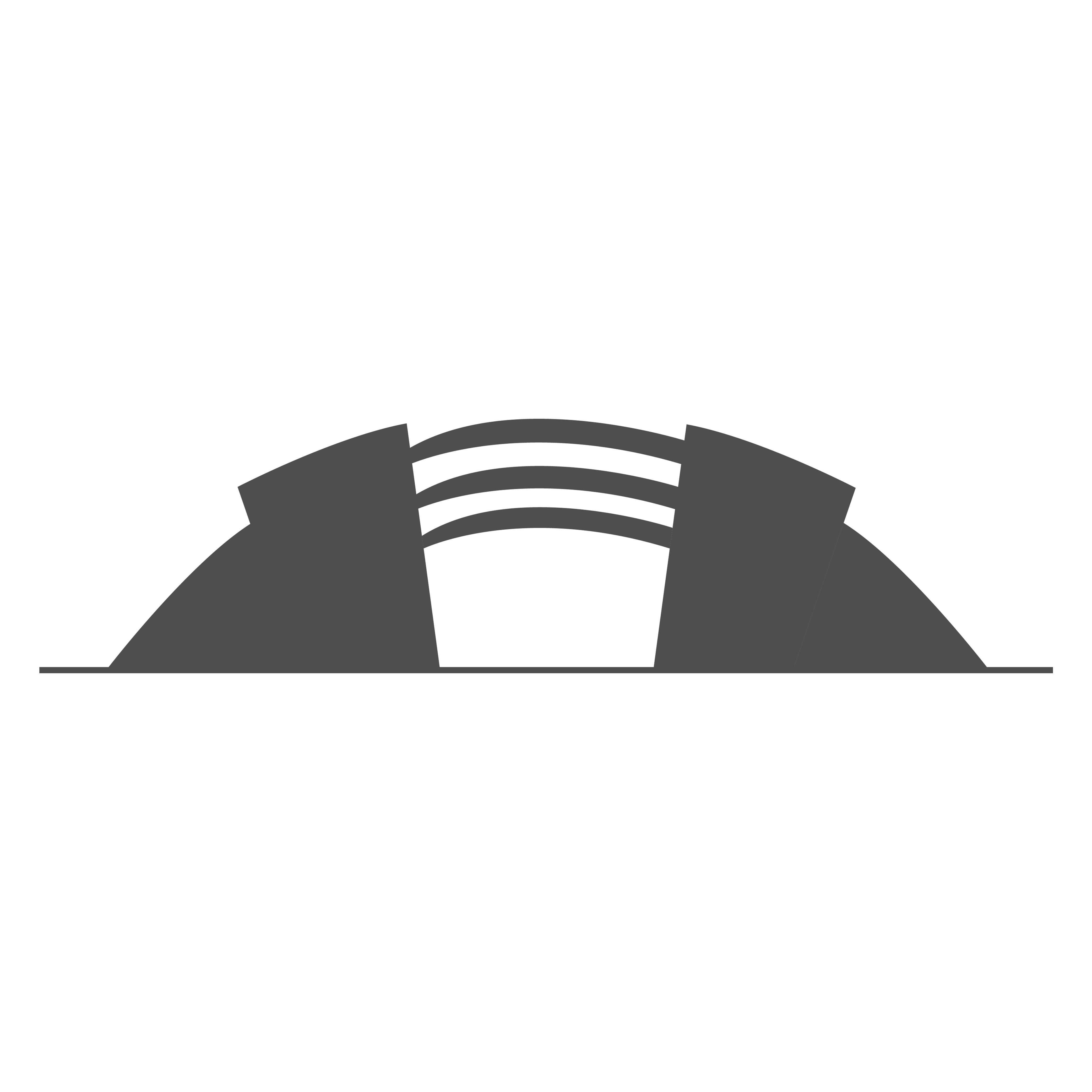 National Stadium Viewing